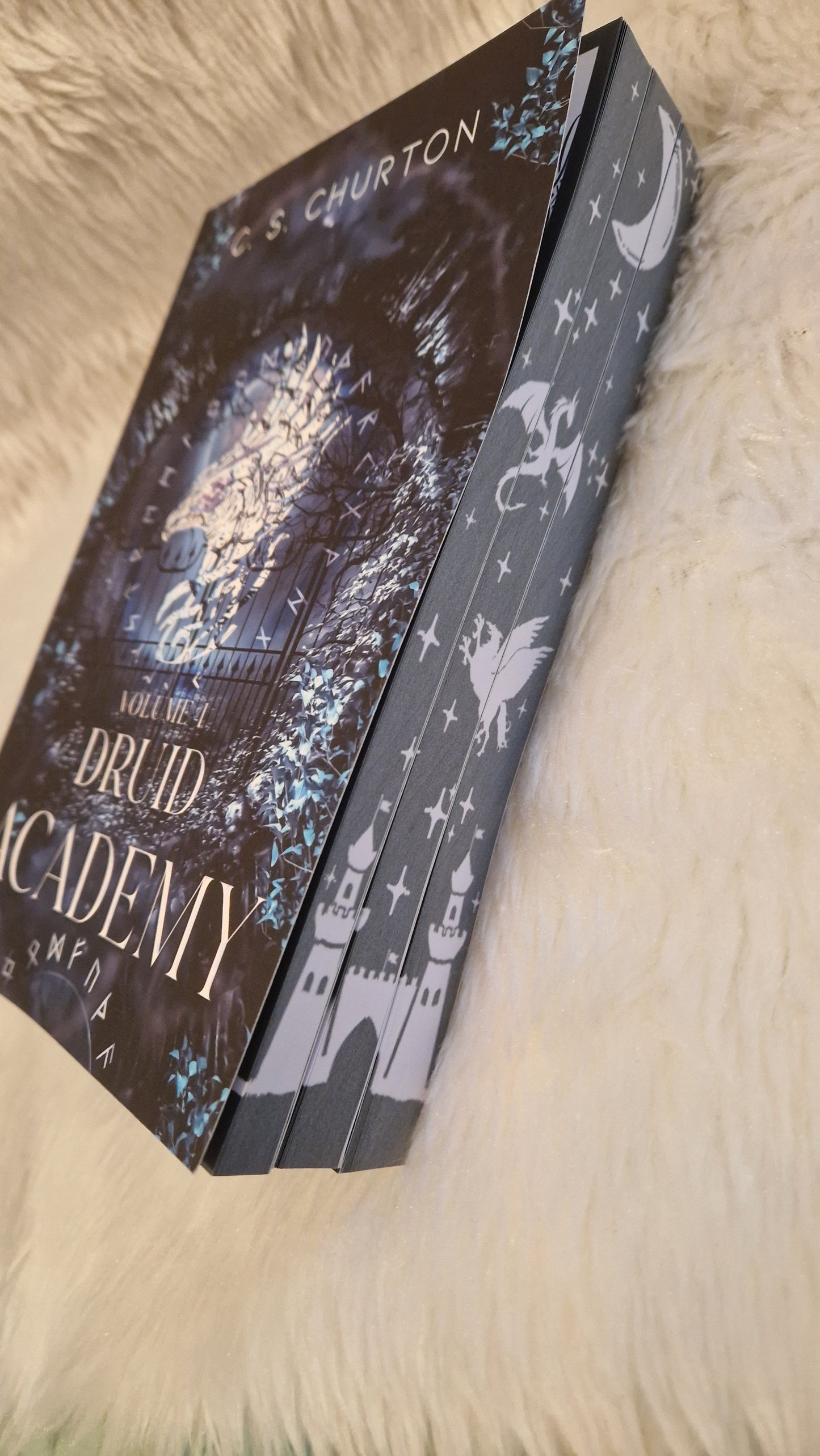 Druid Academy Trilogy Special Edition Paperback Set