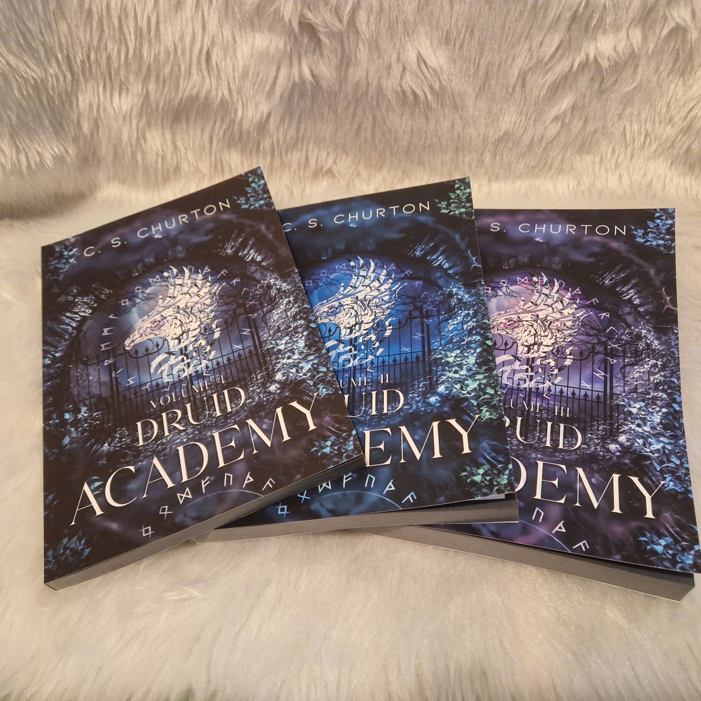 Druid Academy Trilogy Special Edition Paperback Set