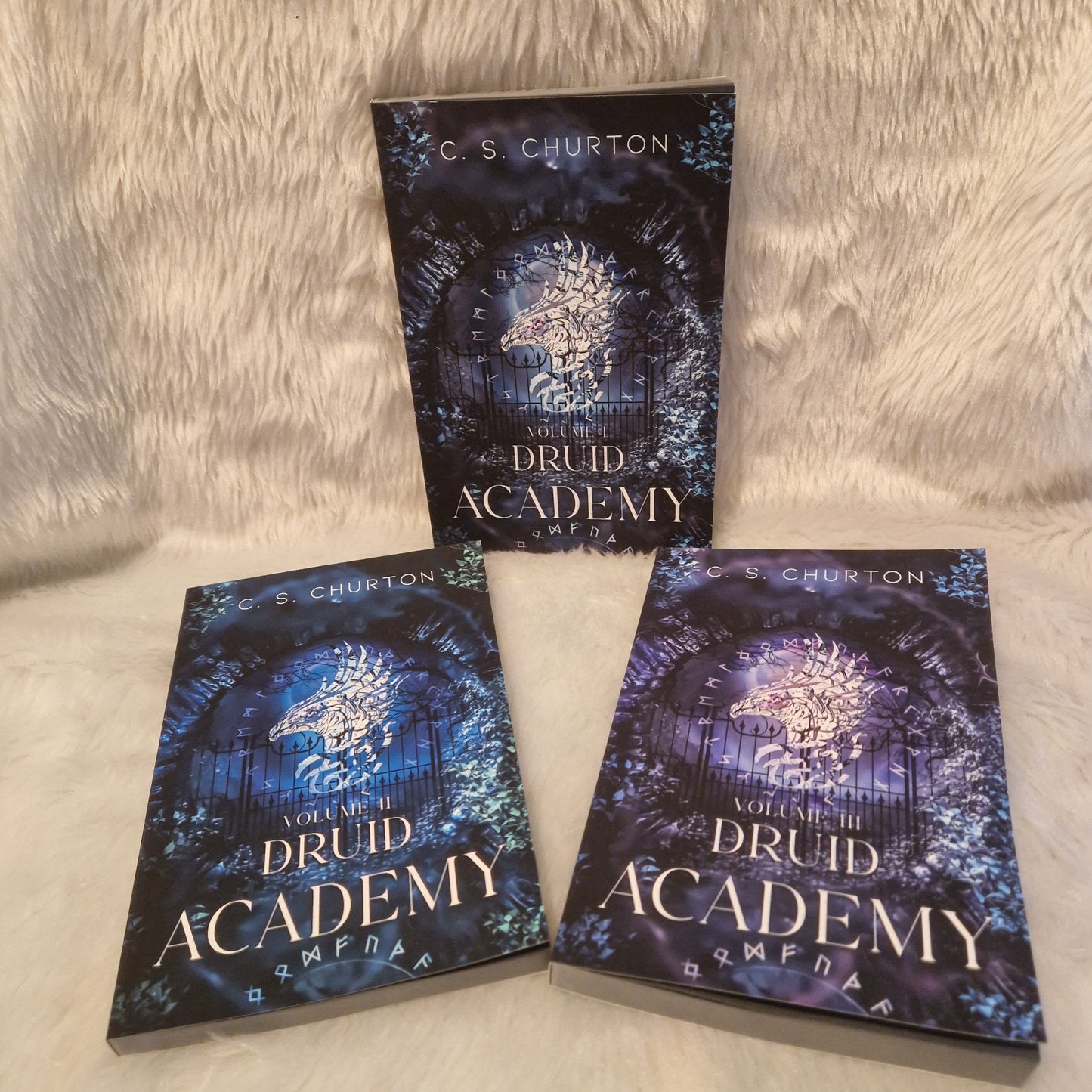 Druid Academy Trilogy Special Edition Paperback Set